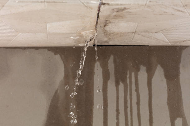 Professional Burst Pipe Cleanup technician working in Olivet, MI